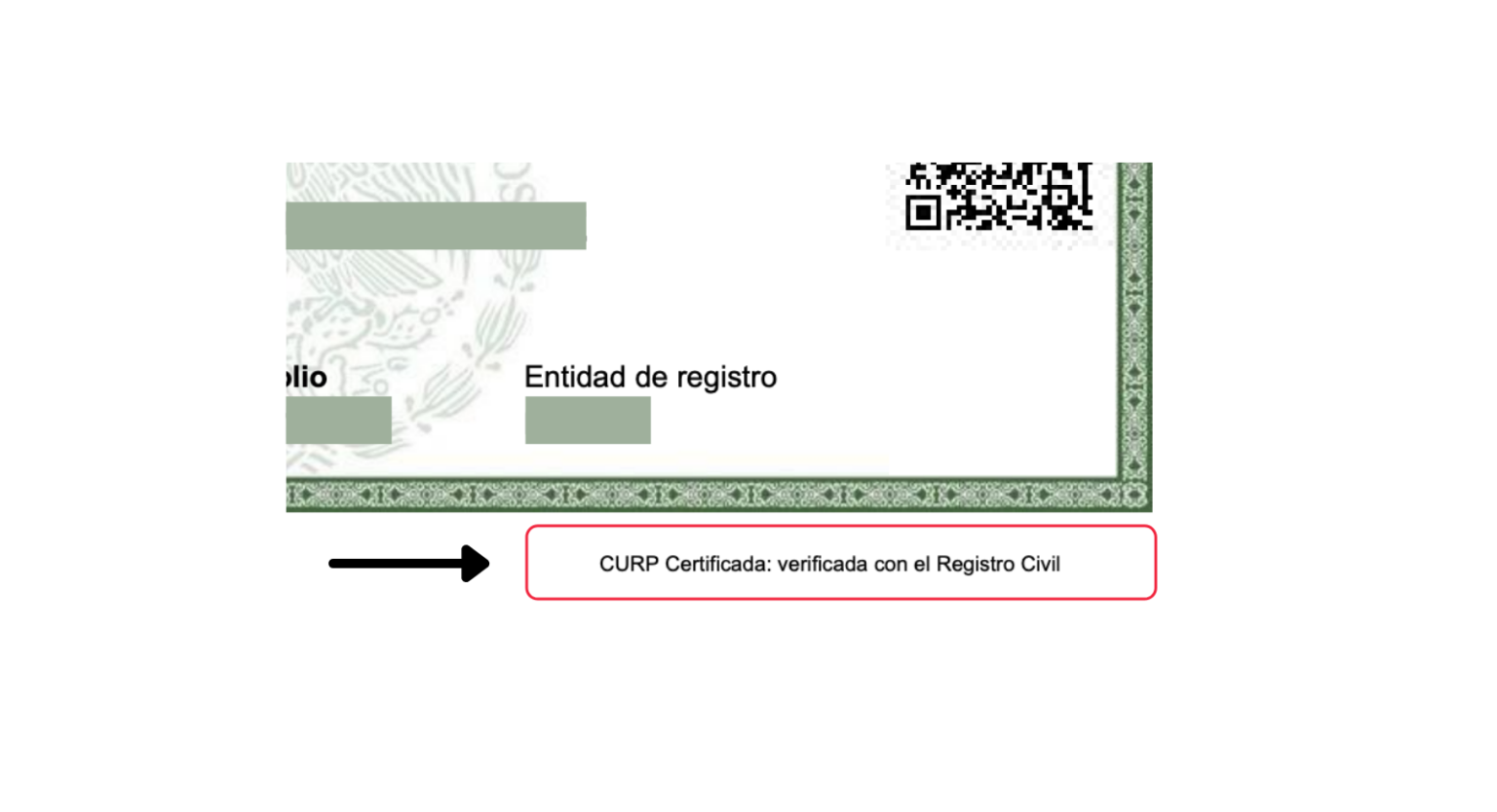 Curp Certificada C Mo Conseguirla Y Cu Les Son Sus Beneficios Trato Gesti N De Contratos